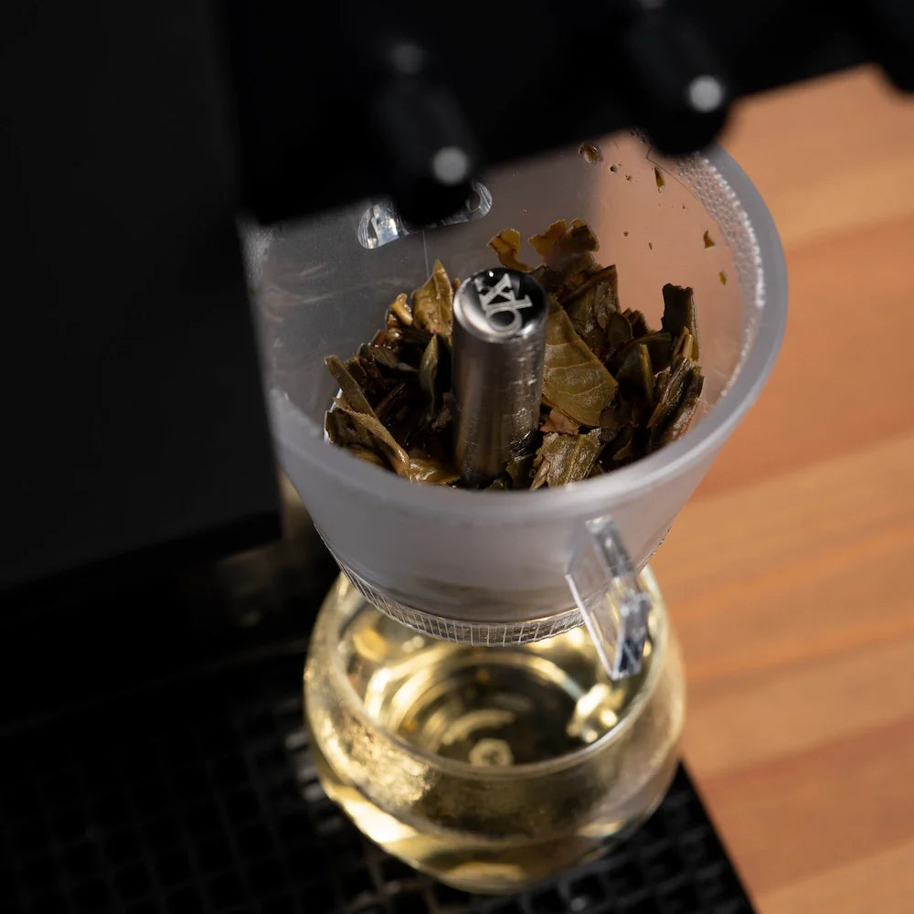 xBloom Omni Tea Brewer