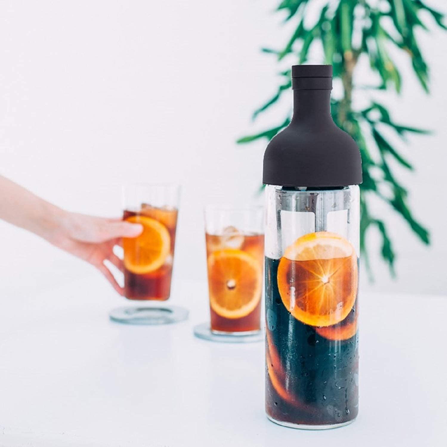 Hario Cold Brew Bottle 650ml