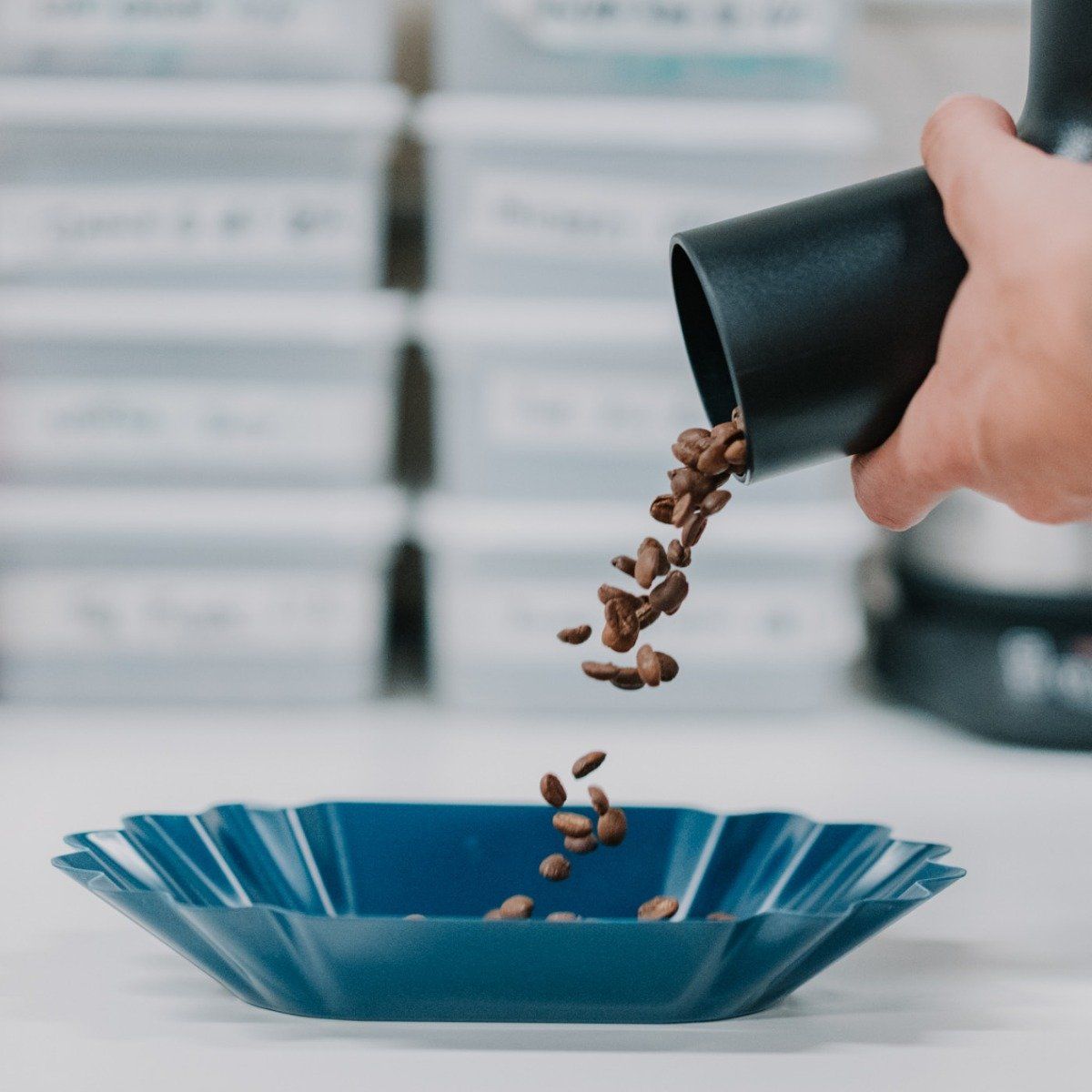 Rhino Bean Scoop